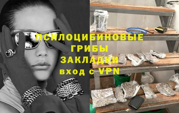 прущая мука Каменка
