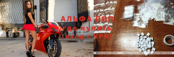 трава Балахна
